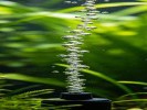 拍鱼缸氧气泵冒出的气泡串
