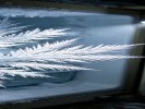 拍冰箱里的霜花，像极地冰雪