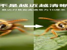 近拍小物件总是对不上焦？别怪手机，是你离"太近"了