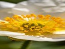 拍花总是糊成一片？别怪手抖，是你对焦对错了"地方"