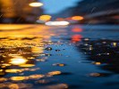  雨天拍照总是一片灰暗？别收相机了，雨天才是出片的"黄金时间"