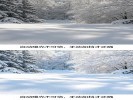 拍雪景照片发灰发暗？别相信"自动曝光"，手动加一档才正确