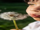 拍孩子吹蒲公英，快门速度要快