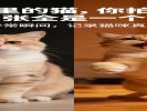 家里的猫，你拍了一千张全是一个表情