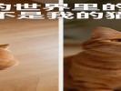 《拍猫拍狗，蹲得比它还低》