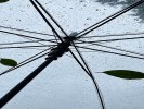 雨伞别收，从下往上拍伞内的天空