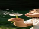 拍小朋友吹蒲公英，总是抓不到种子飘起的瞬间