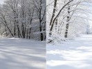 拍雪景不用加曝光，反而要拉低