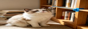 27.jpg
